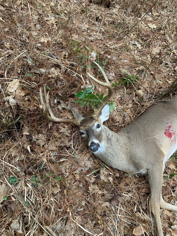 41FE3B75-E107-4878-A1EE-7F106827C5BD