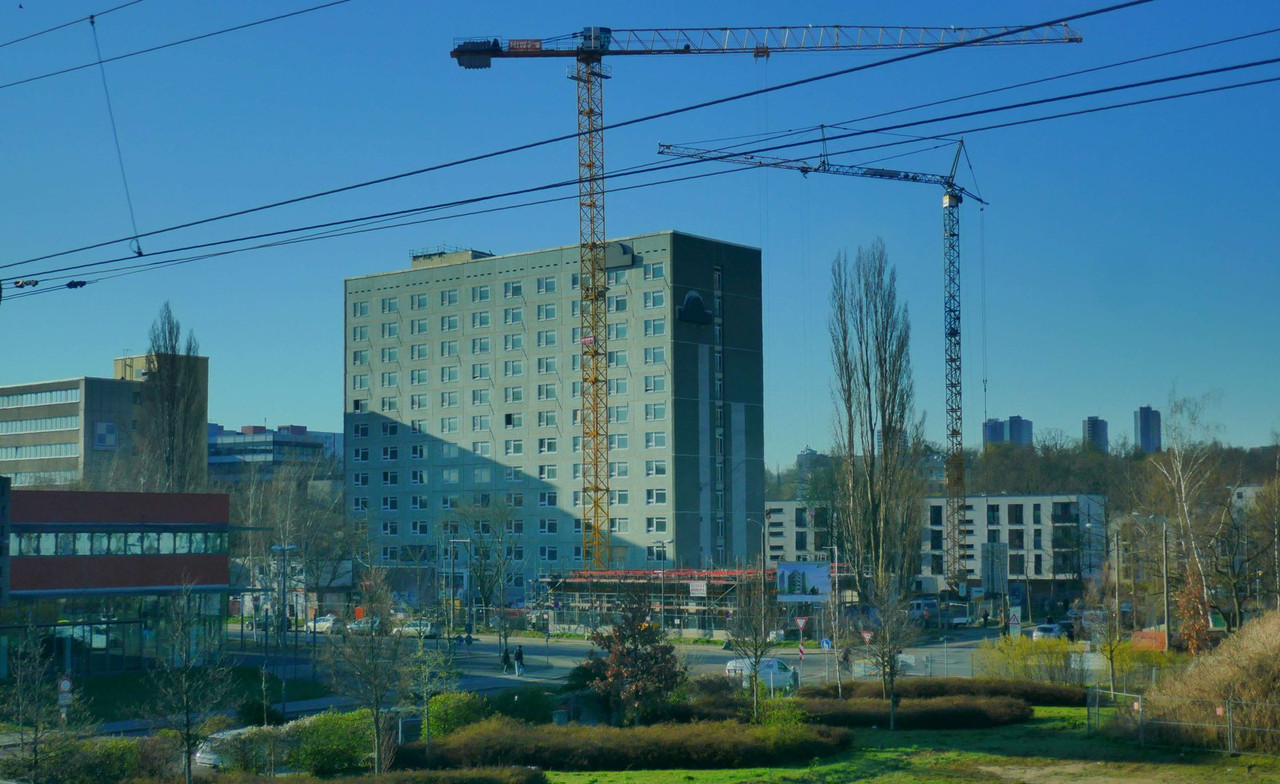 P1260854.jpg