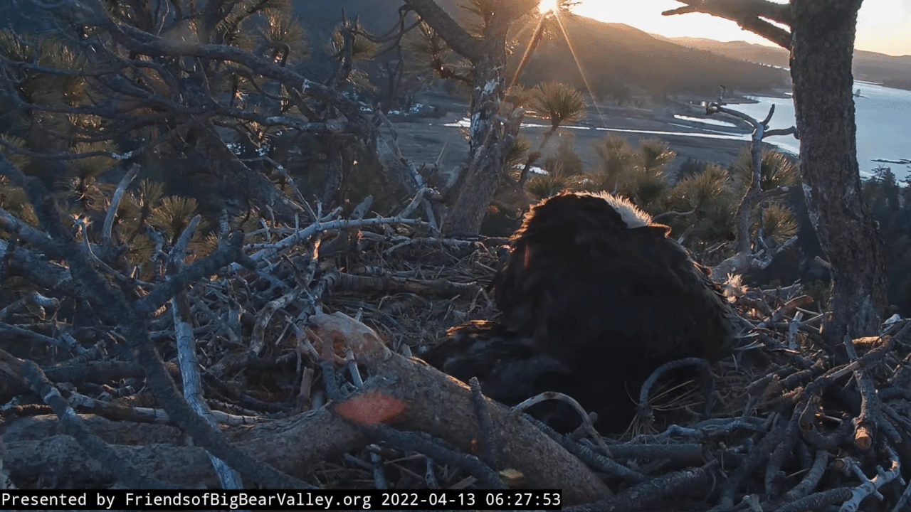 Webp.net-gifmaker (1)