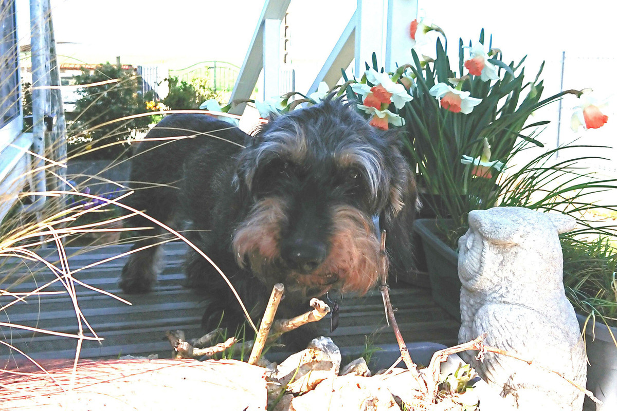 [Image: DSC-3769.jpg]