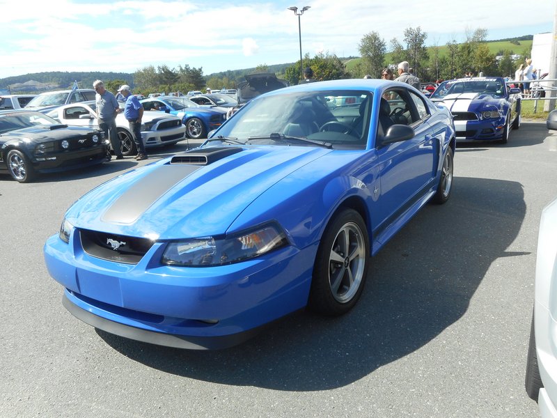 Rendez-Vous Mustang Cliche Auto Ford - 14 août 2022 Cliche2022-83