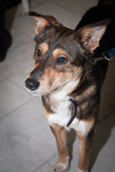 53D79AA8-B230-43DA-99CB-B88E430A779A