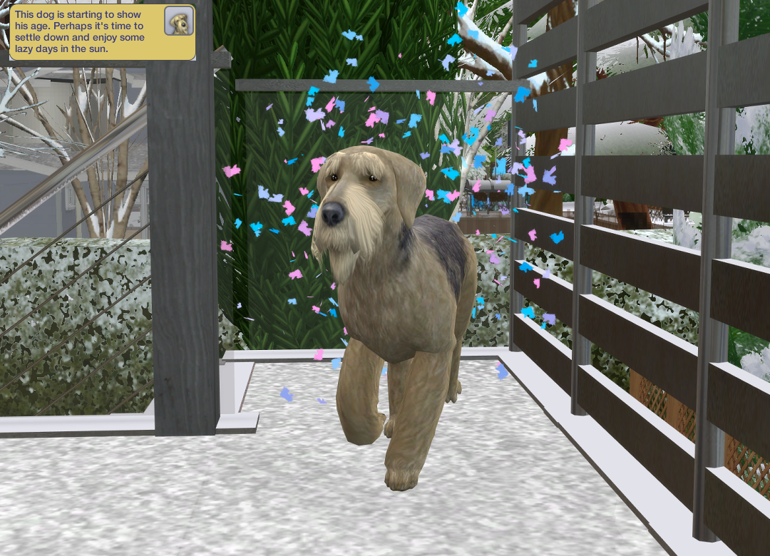 ksnip-20250622-132044