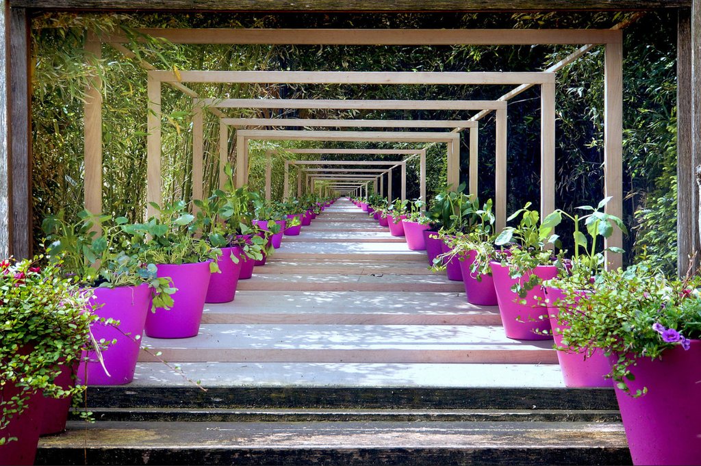 purple-plant-pots.jpg