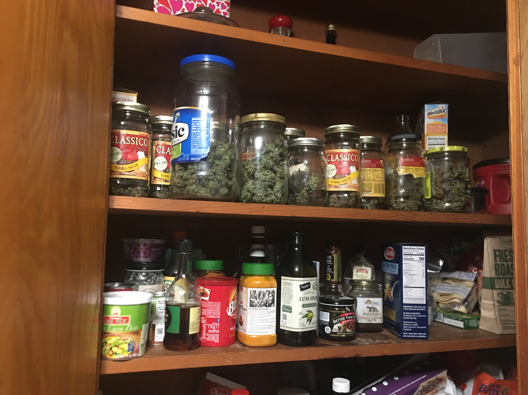 9235D82E-A380-4E64-9B5E-DC003068199C