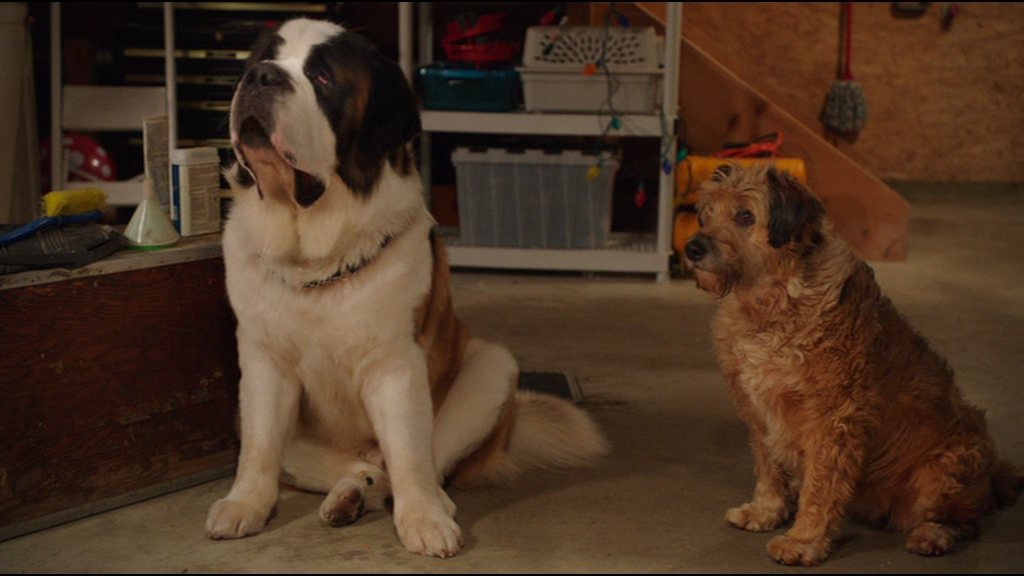 vlcsnap-2017-10-17-22h37m44s397