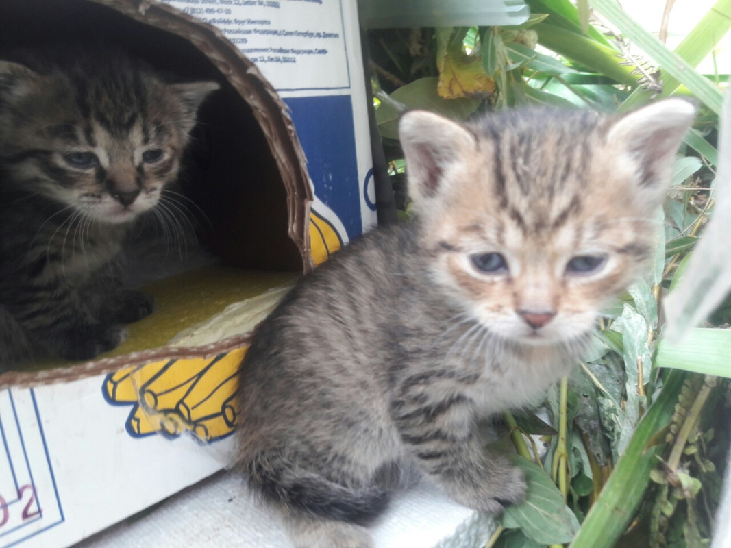 изображение_viber_2019-10-03_09-49-50