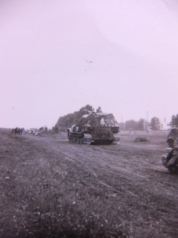 Ferdinand mit Tarnnetz, Rückansicht