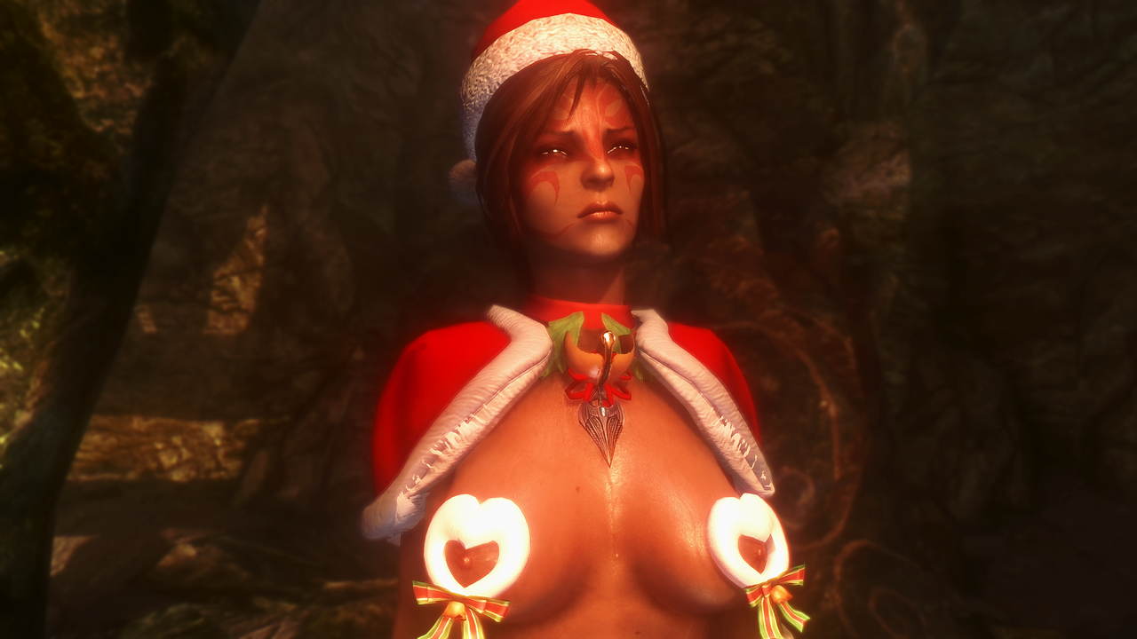 HI-Christmas 2017 025
