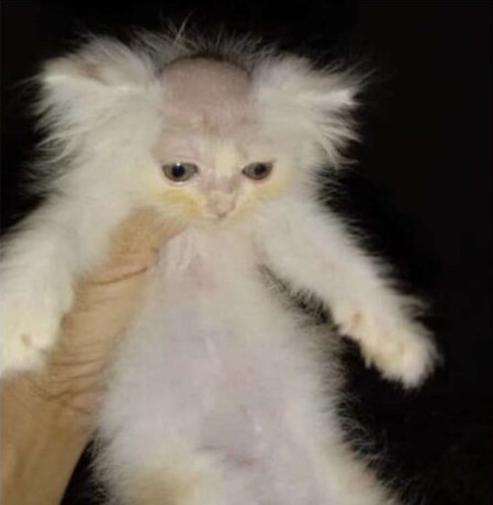 Screenshot 2023 01 05 230810