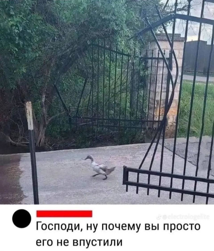[Изображение: izobrazenie-viber-2026-04-27-08-06-23-571.jpg]