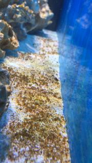 BECA1358-F936-4A62-BD29-12D0BC064B4E