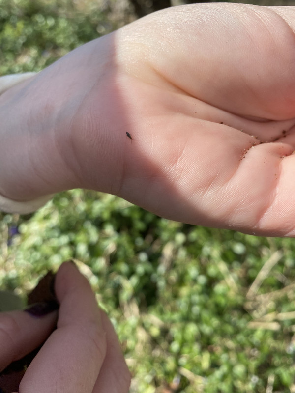 B3331C4B-FD4A-463C-BB2B-6FE9DD6E42F8