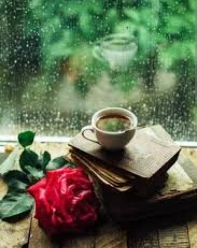 Screenshot_20221126-005906_Chrome