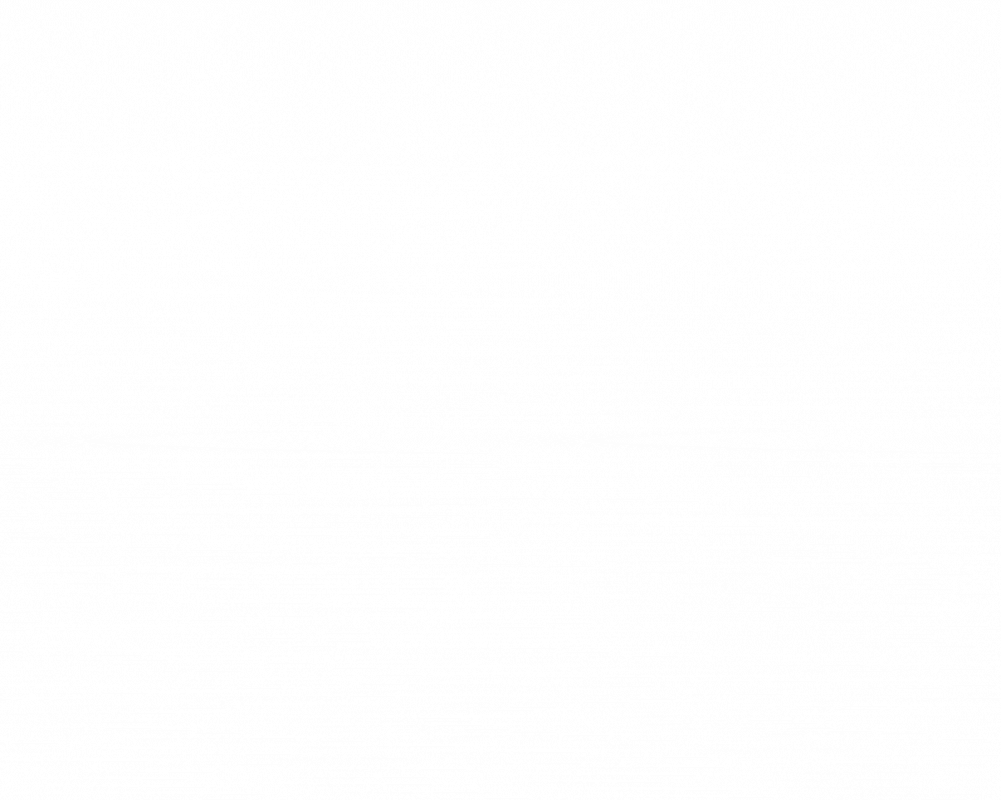 SSRP-3.gif