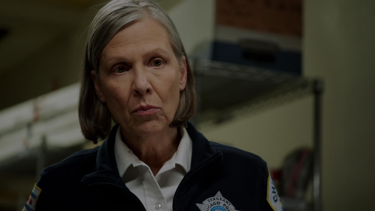 Chicago P.D. (2014) Season 9 S09 (1080p AMZN WEB-DL x265 HEVC 10bit DDP 5.1 Vyndros)
