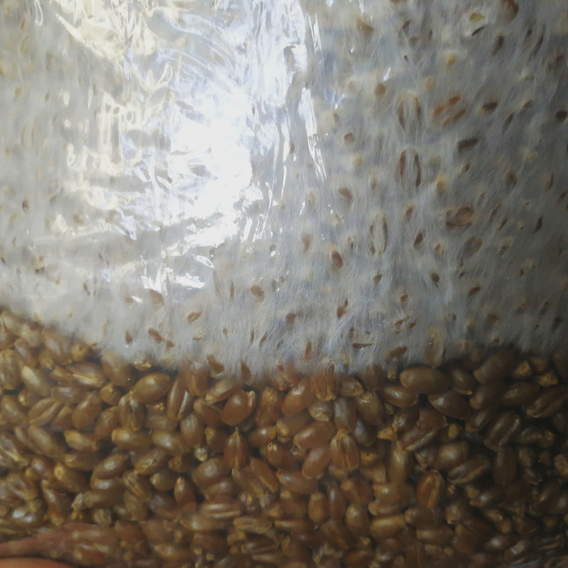 IMG_20180910_175128_489