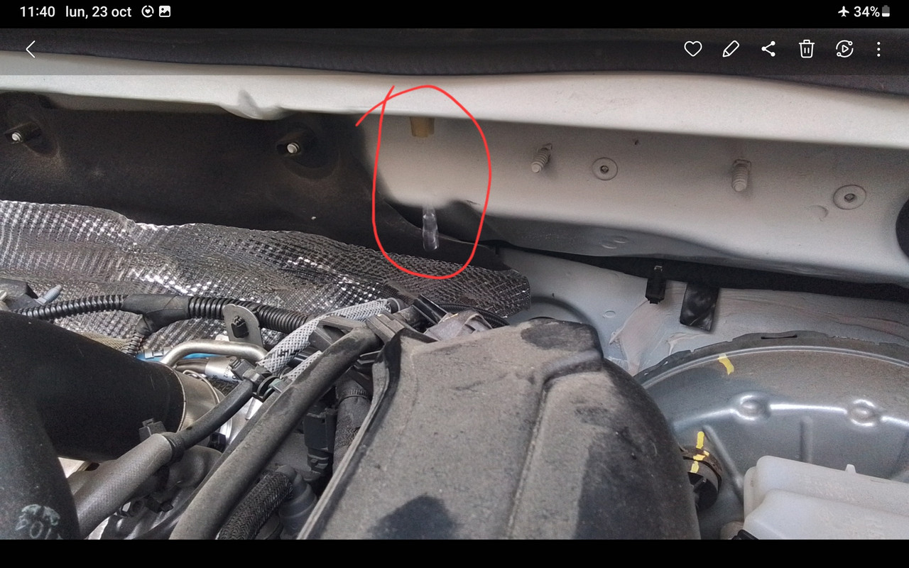 Screenshot_20231023_114004_Gallery