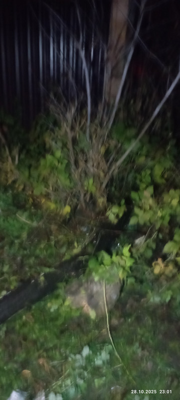IMG 20251028 230101