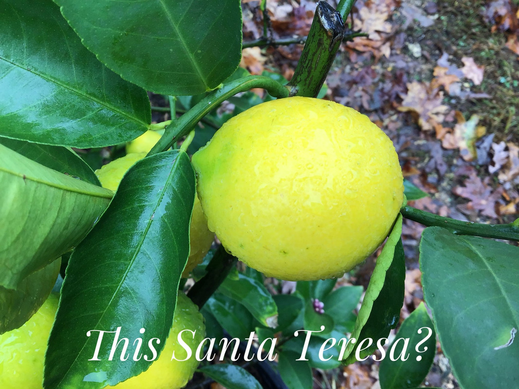 4D6488A2-C694-4AF8-972F-10BDE5483D92