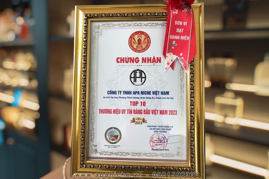 [Image: giay-chung-nhan-apa-niche-nhan-giai-top-...u-2023.jpg]