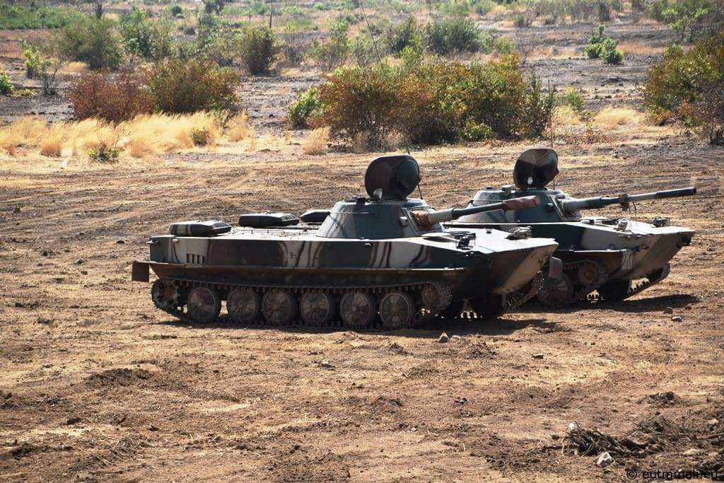 Malian-PT-76s.png