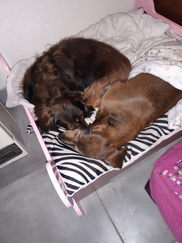 [Image: 20220202-065428.jpg]