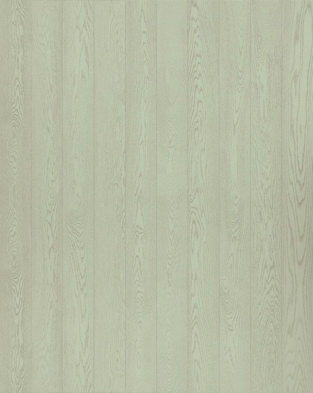 430573_302360666490225_420850686_n