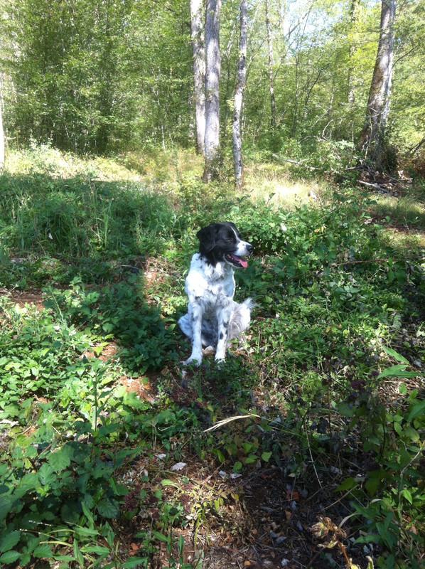 9DE64FA3-635D-4FFC-87A2-737BCE41997D