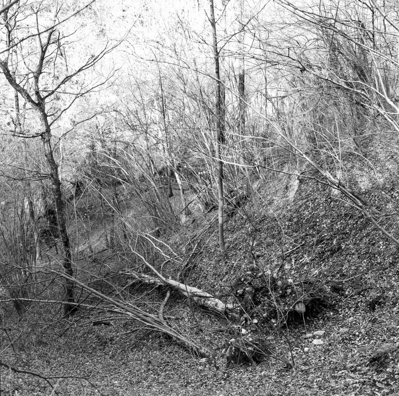 Rolleiflex WF_26feb2022_10 (1280x1272)