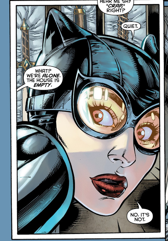 http://comicbooked.comicbookedllc.netdna-cdn.com/wp-content/uploads/2012/04/catwoman_8-e1335656857905.jpg