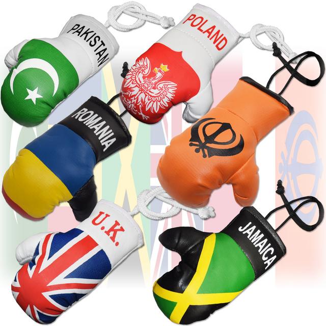 Mini Boxing Personalised Boxing Pads Flag Football Gloves