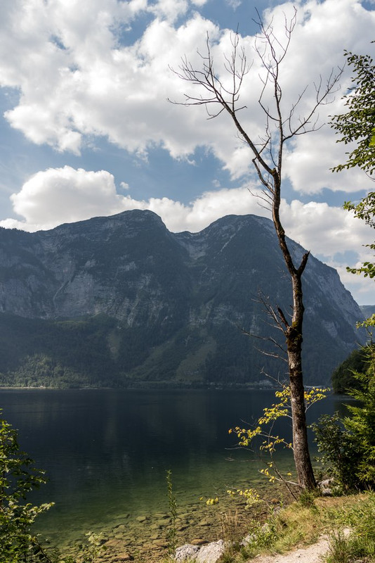 OBERTRAUN - OSAU - GOSAUSEE - HALLSTTAT (12 AGOSTO) - Austria y Bratislava (5)