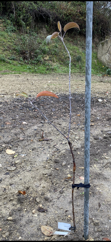 9DF130B8-F661-49BE-AC00-26AF3043361F