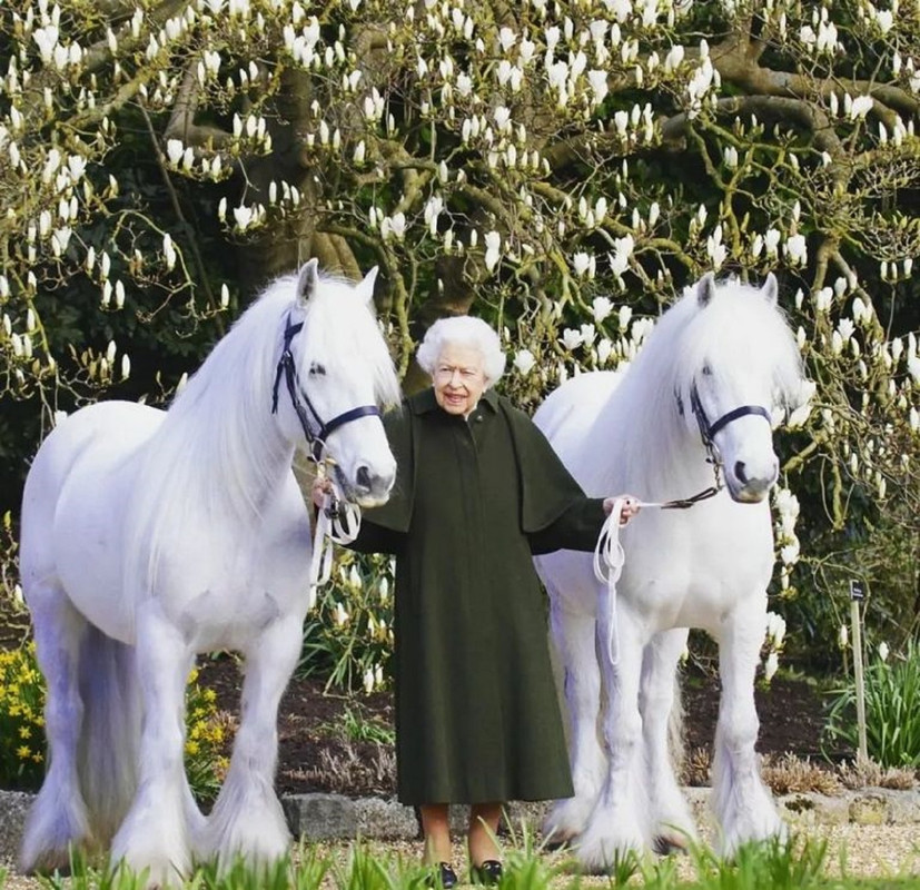 Reina Isabel II no estará en la carrera de Epsom Derby ¿Qué le pasó?