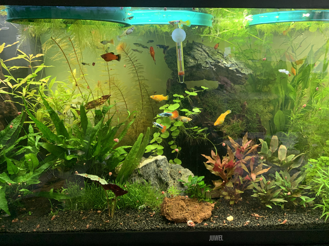 6FA2EF03-E9F8-4B82-AAD2-408578A1F158