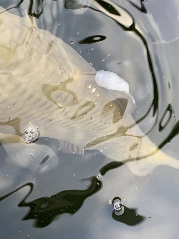 F9DF54F4-D912-49CF-B73A-4F930FD5FE10