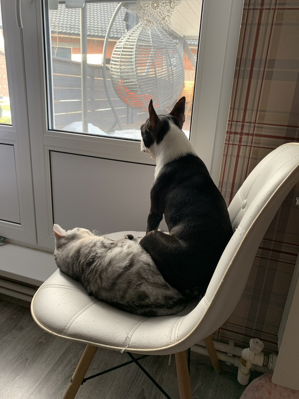 086E98B6-337F-439A-81C2-914026F655F9