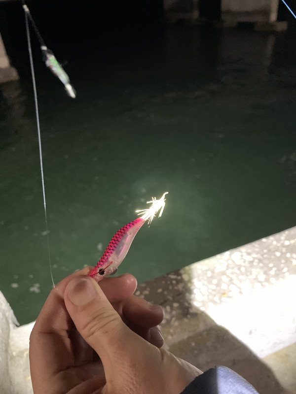 F3F45325-9313-4902-9D45-E38375C3008A