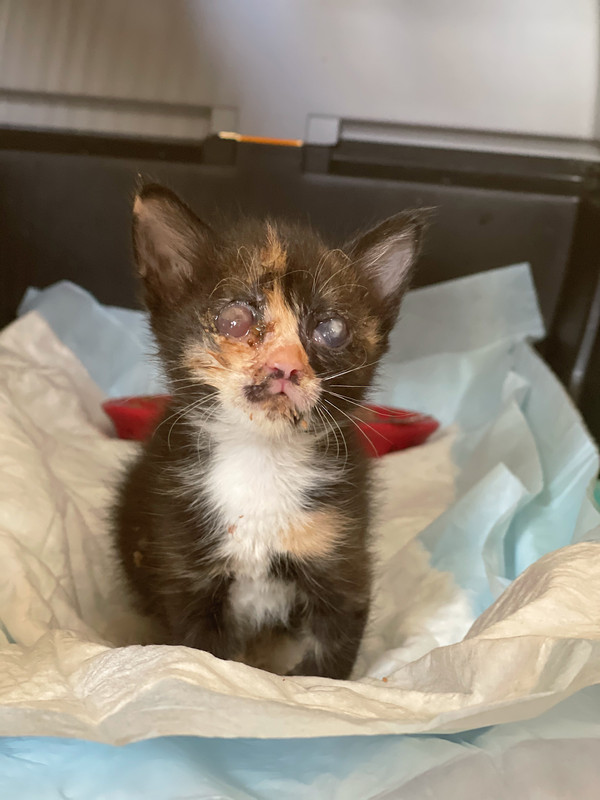 C4CCD523-4A5B-4BB7-92AC-4F42F0ACBD12