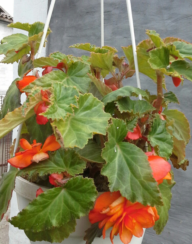 20120111_225839(1)