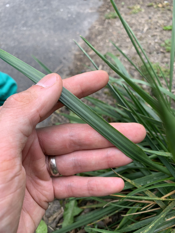 302E0958-833A-4558-9880-95A9F14C013B