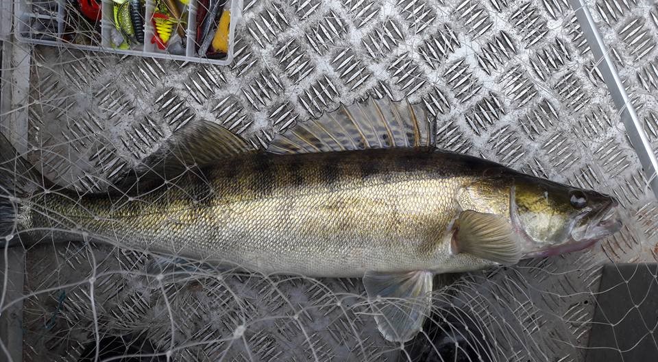 3 Ситников С. джиг