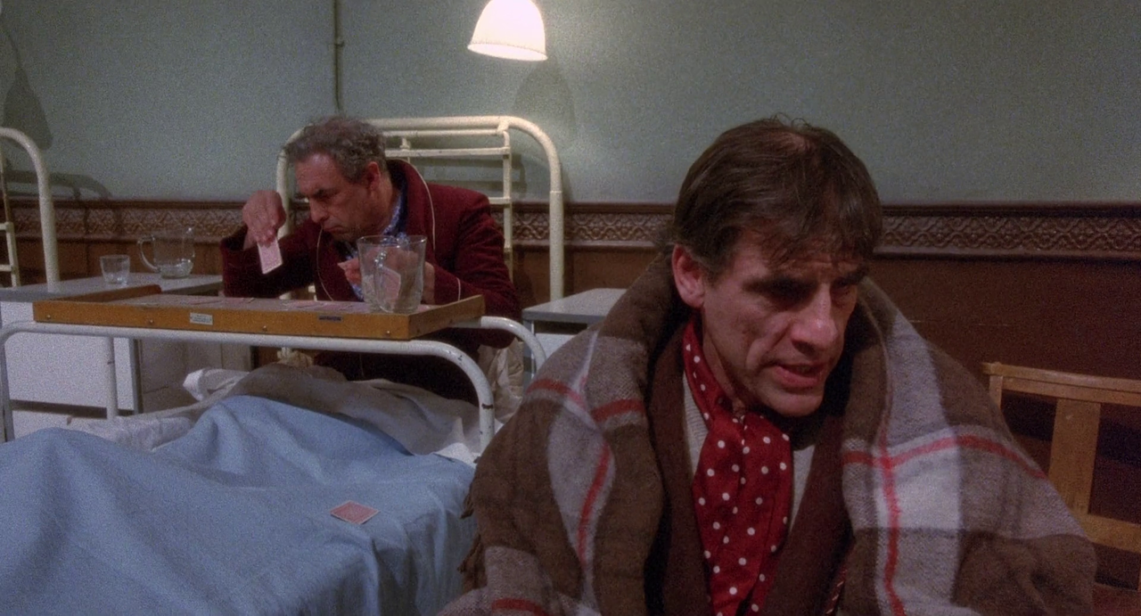 vlcsnap-2024-02-12-19h02m26s617