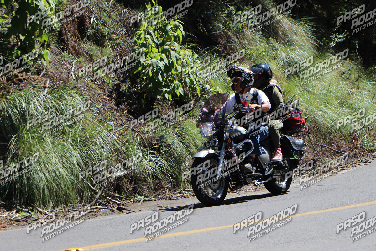 IMG 3610 wm 16614 900000000373 watermarked — Postimages