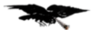 https://i.postimg.cc/mrSJ9d01/corbeau-stoner.png