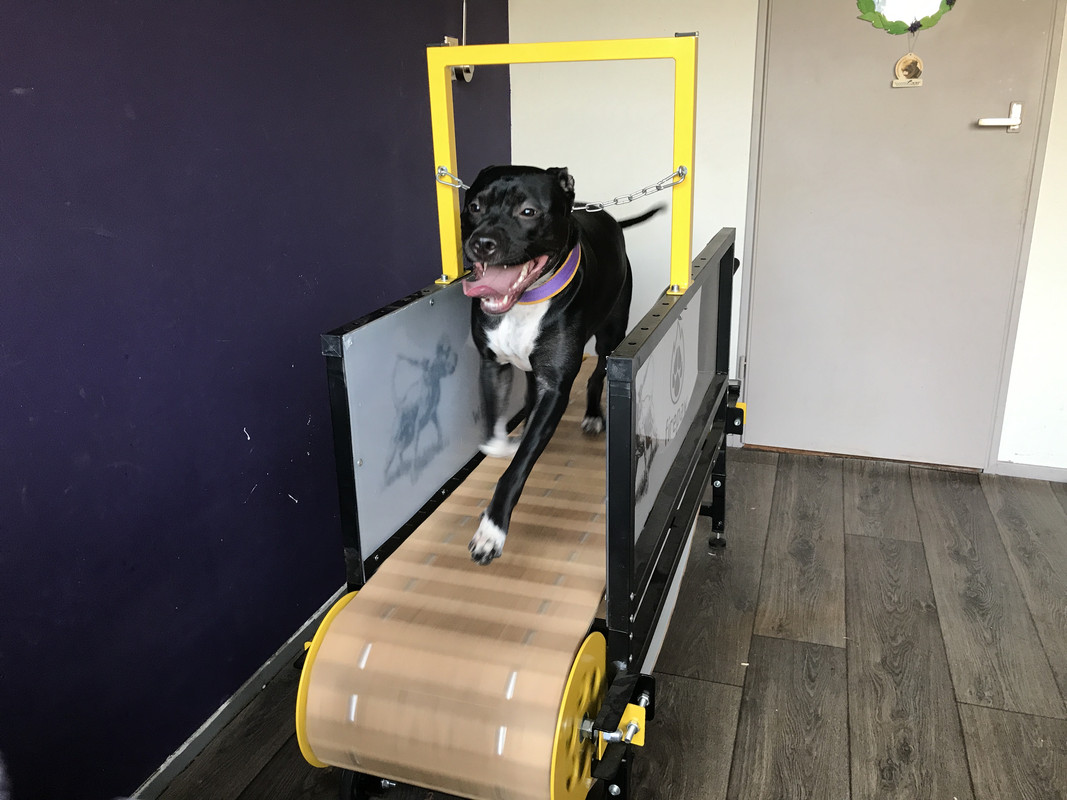 0E9D1850-DE24-4D40-90A2-01BF04DB8A42