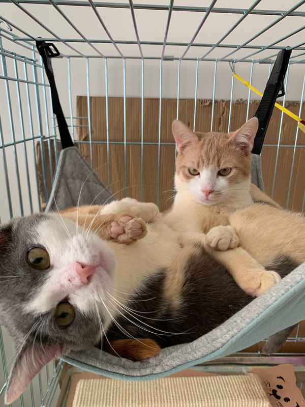 B6D80CC3-A69D-4A47-8C71-C958B5783A29