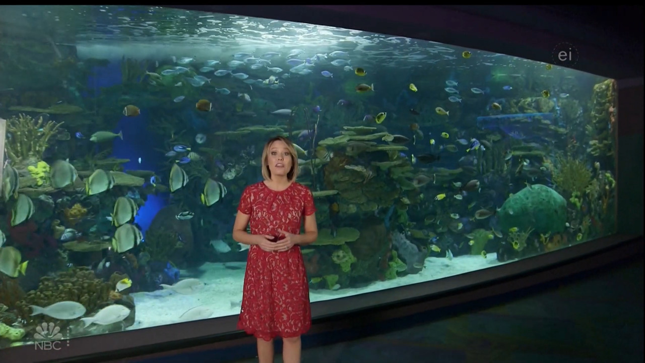11.07 - 15.00.00 - Earth Odyssey With Dylan Dreyer. The world's smart....ts_snapshot_01.05.12.786