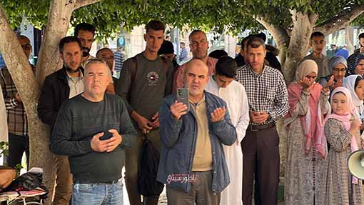 IMG-1647